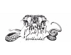 Meercaz Worldwide Enterprise Home
