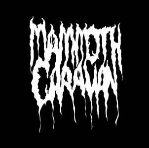 Mammoth Caravan Home