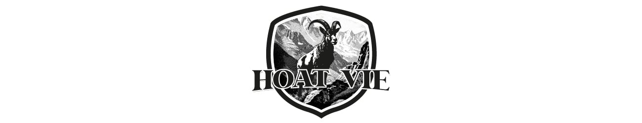 HoatVie