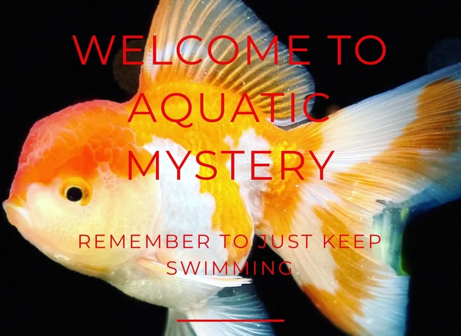 Welcome image