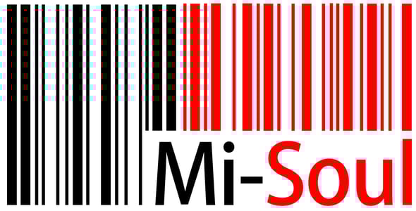 Mi-Soul Home