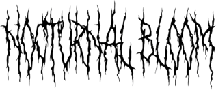 Nocturnal Bloom Home