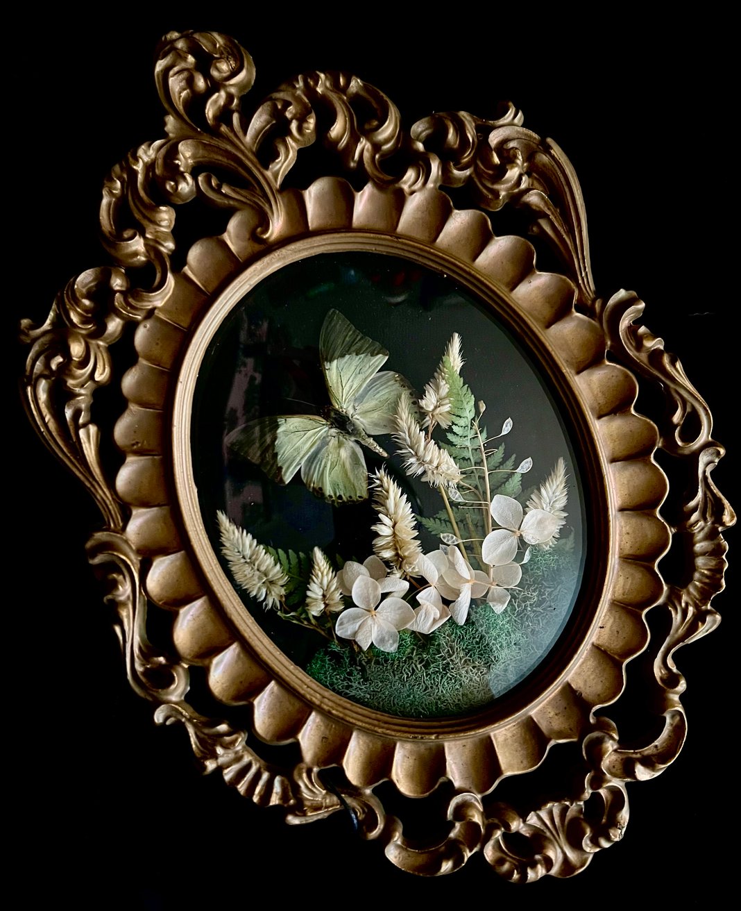 Slideshow image 4