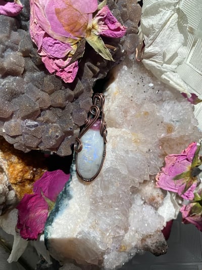 Slideshow image 4