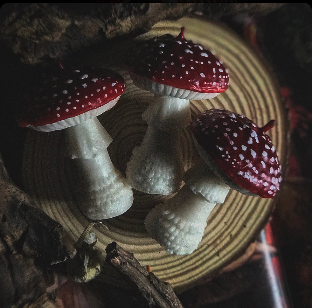 Slideshow image 5