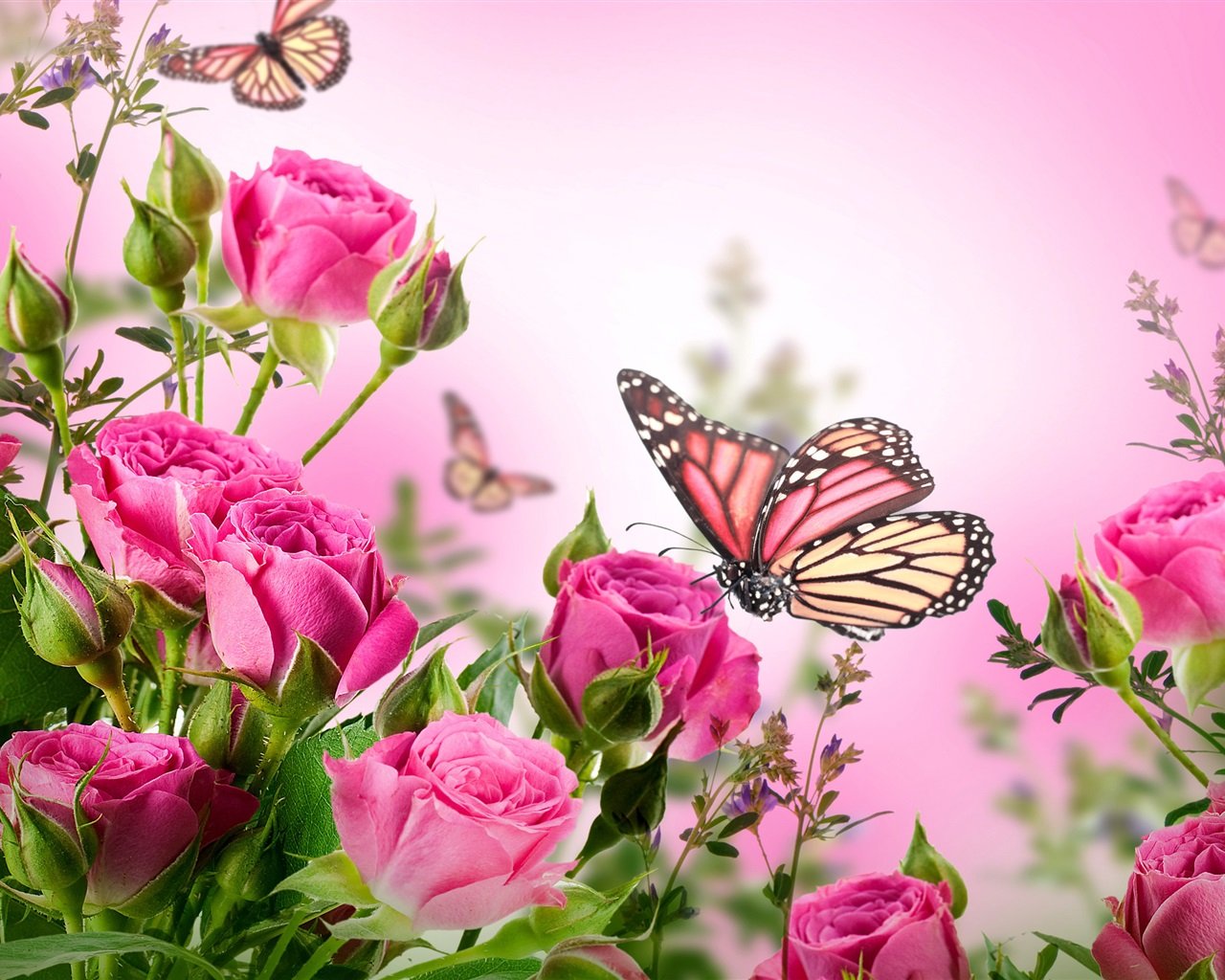 Welcome image