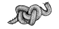 little millipede studio Home