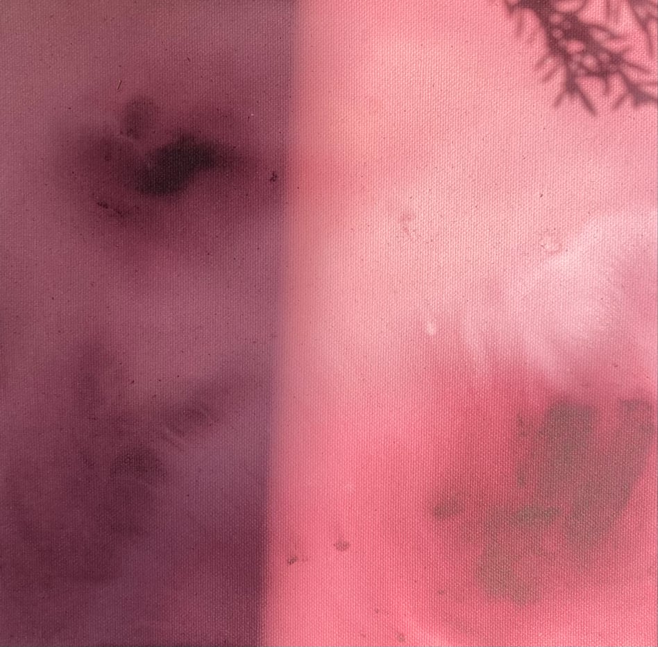 Slideshow image 3