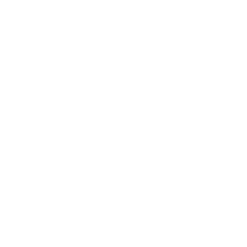 SYNN