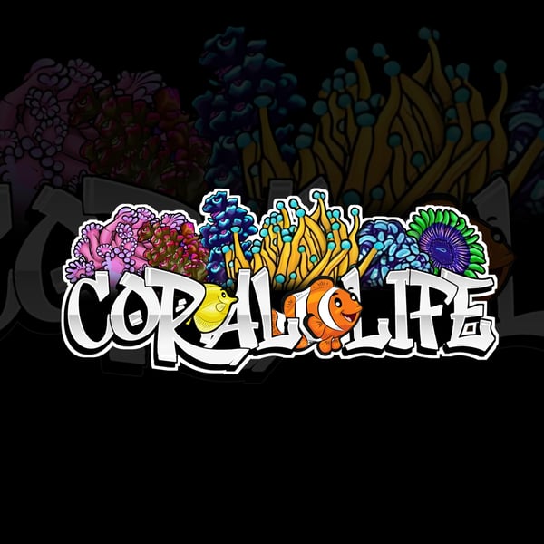 Welcome image