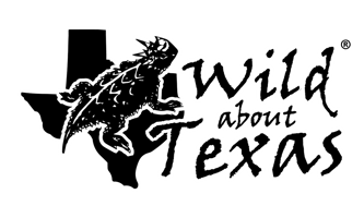 Wild About Texas Home
