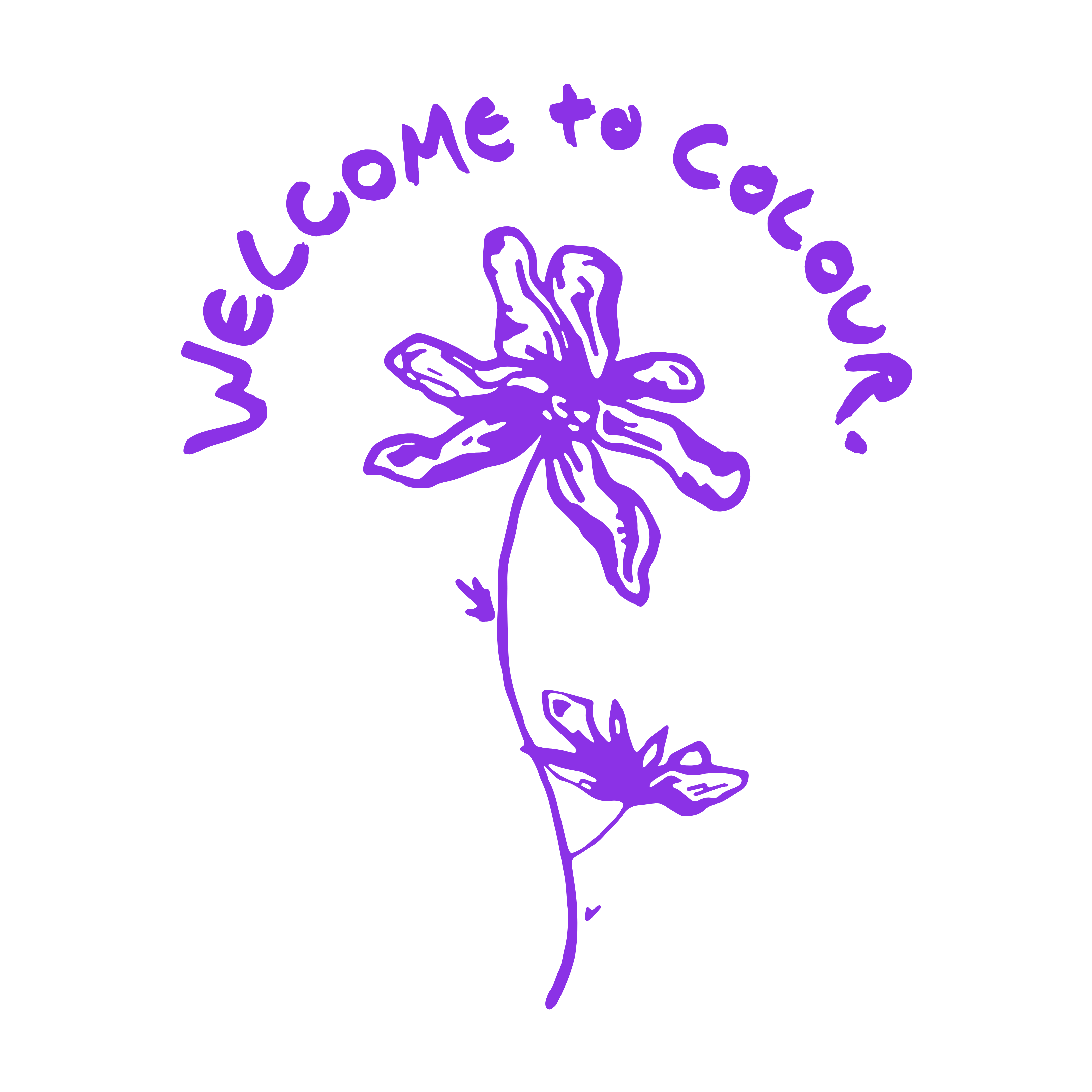 Welcome To Colour Home