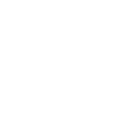 VoidTiger Home