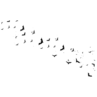 DealDirectWrld Home