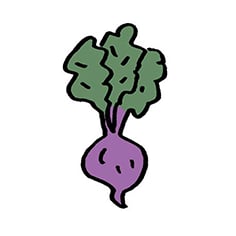 Beets Home
