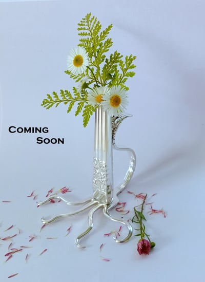 Slideshow image 3