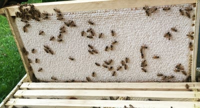 Slideshow image 3