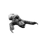 My Back Hurts Records Home