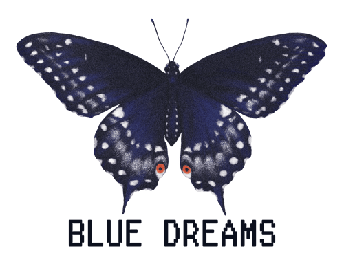 Blue Dreams Collective Home