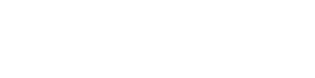 Vices + Virtues Home