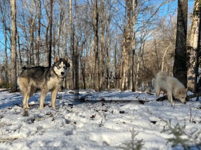 Slideshow image 1