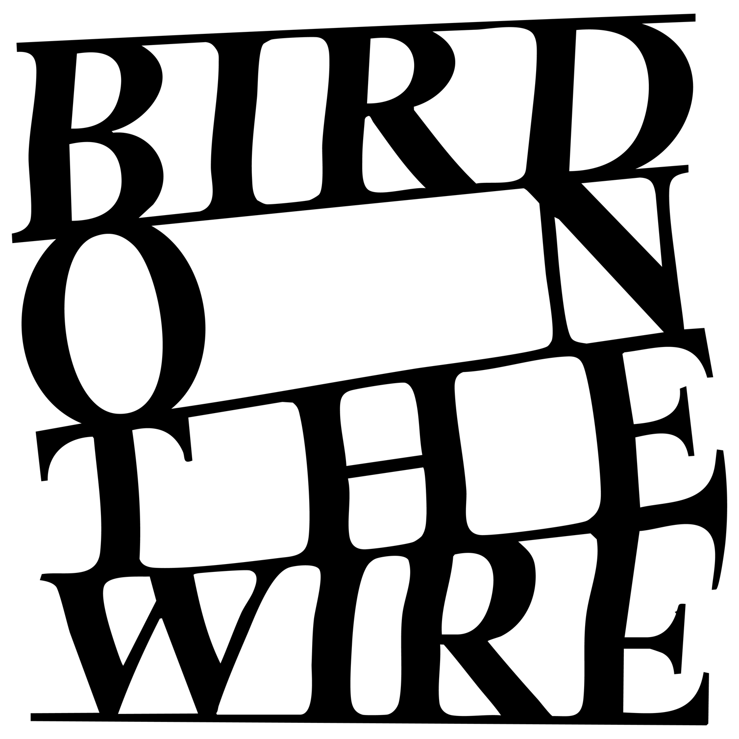 Bird On The Wire Home