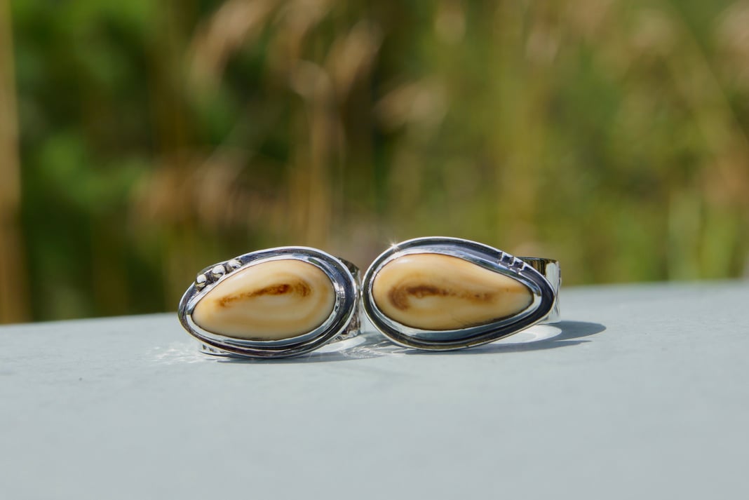 Slideshow image 5