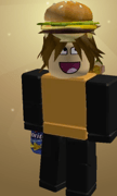 roblox penguin Home