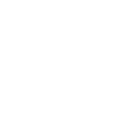 Two Ton Twig
