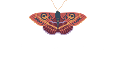 Cassy Jo Creative Home