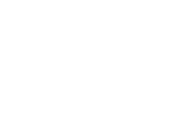 Zippy Art Home