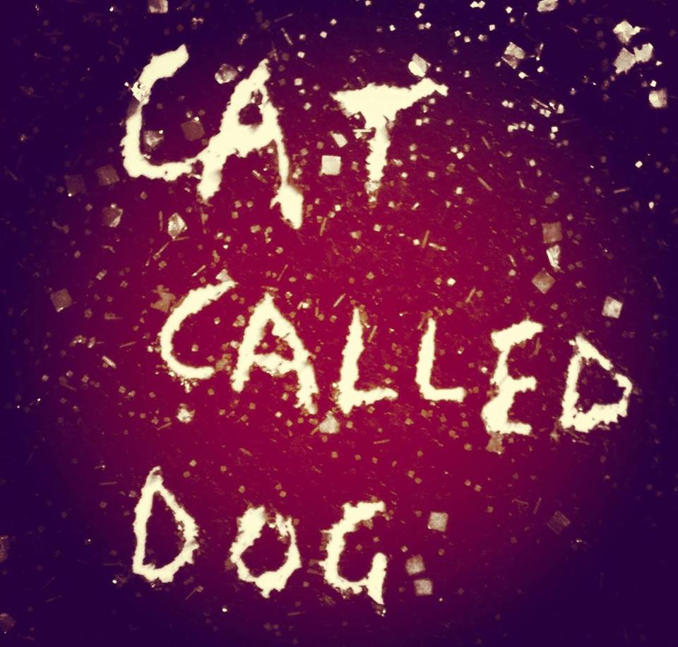 Cat Called Dog