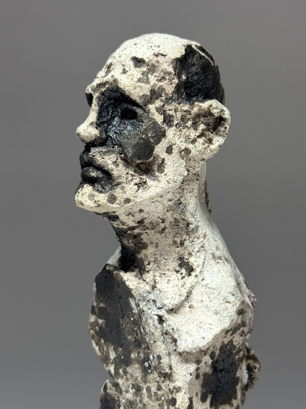 Slideshow image 1