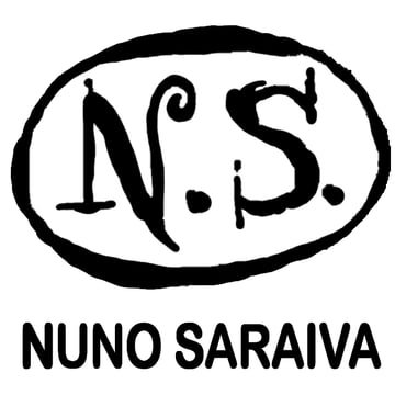 NUNO SARAIVA  Home