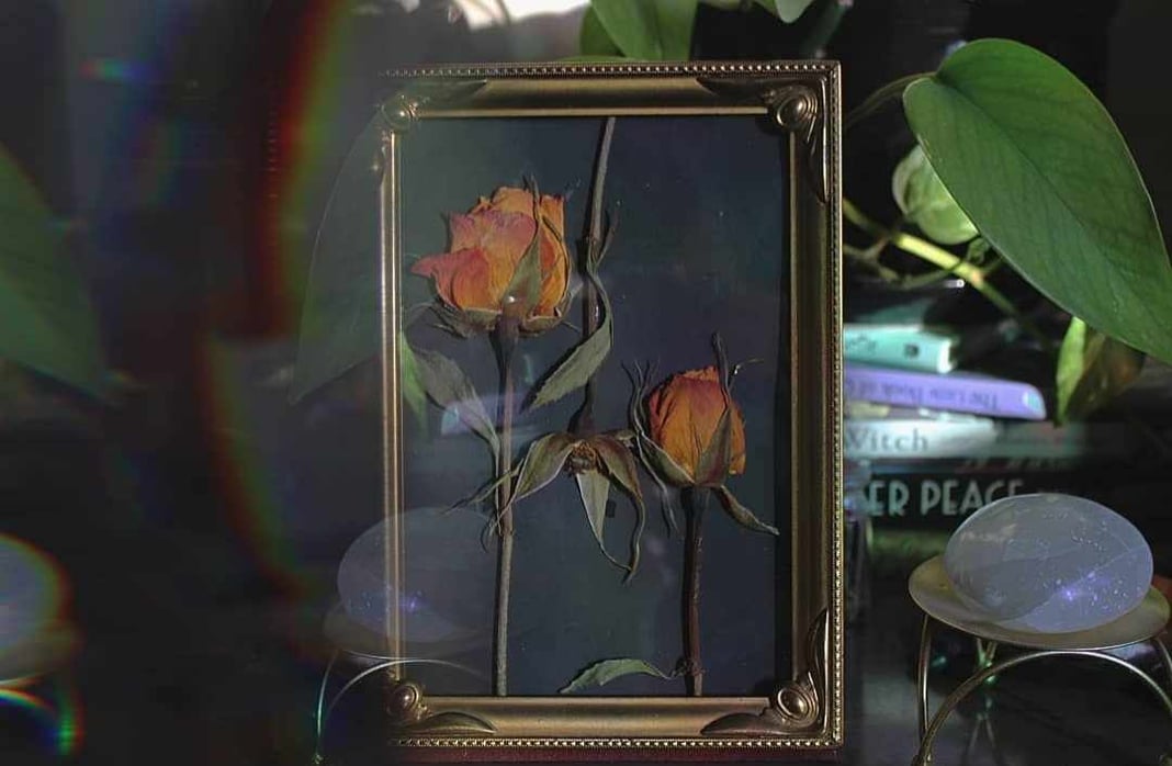 Slideshow image 1