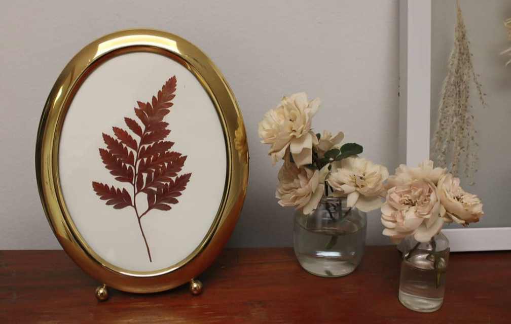 Slideshow image 3