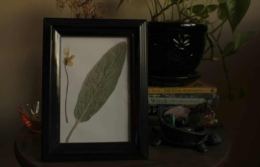 Slideshow image 7