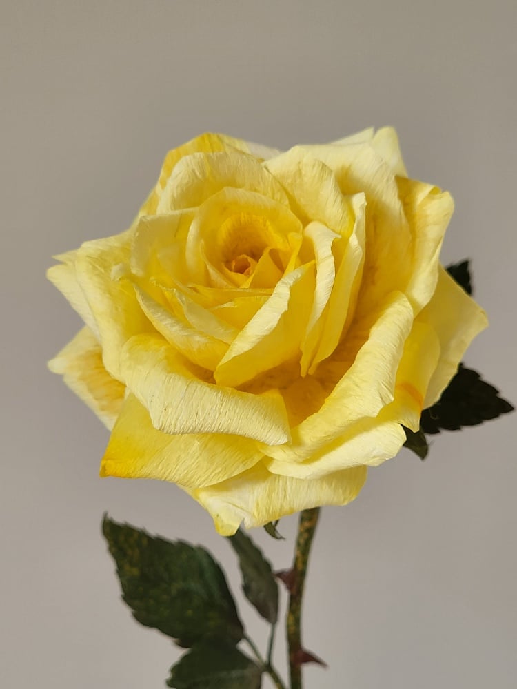 Slideshow image 8