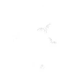 ALTMUMCULT Home