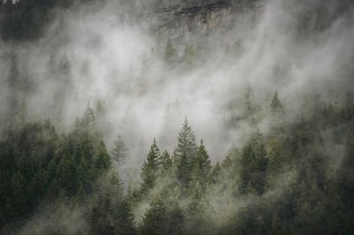 Slideshow image 2