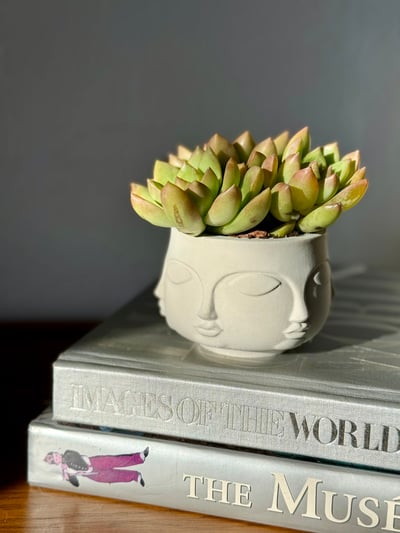 Slideshow image 6