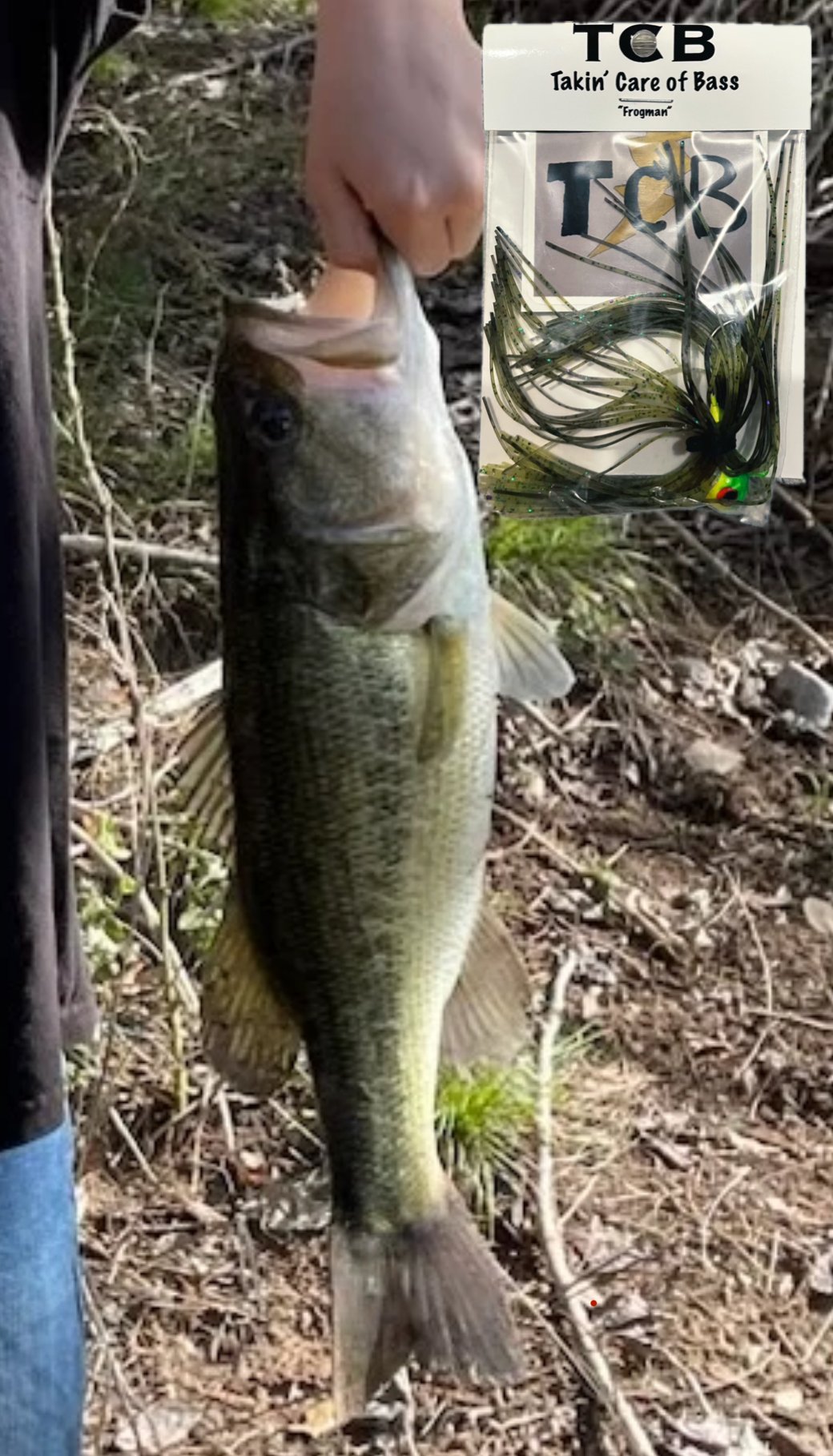 Slideshow image 2