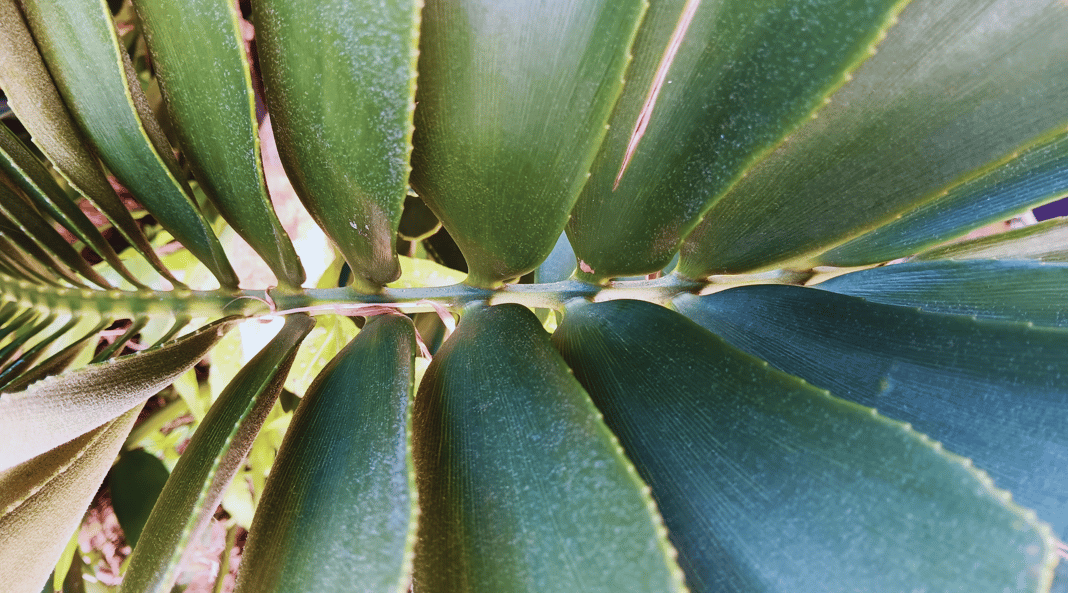Slideshow image 2