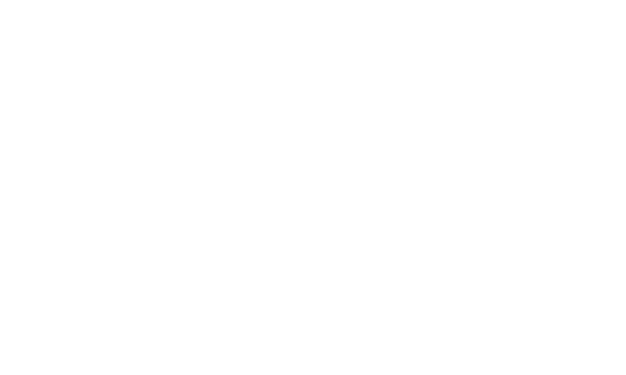 A LITTLE LIFE STUDIO Home