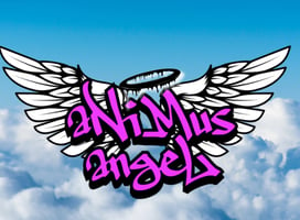 Animus Angel Home