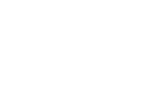 Sure Shot Shop Home