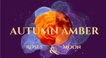 Autumn Amber Rose Moon Home