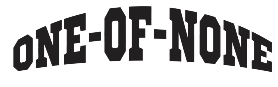 One Of None NY Home