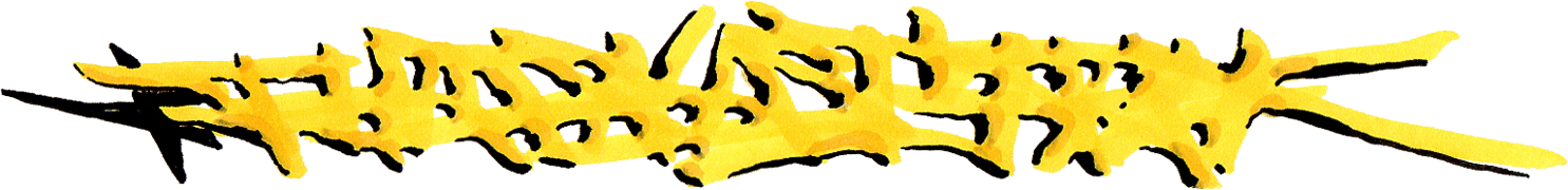 THATSNASTYTALK Home