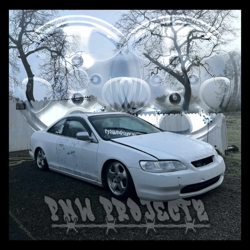 Slideshow image 4